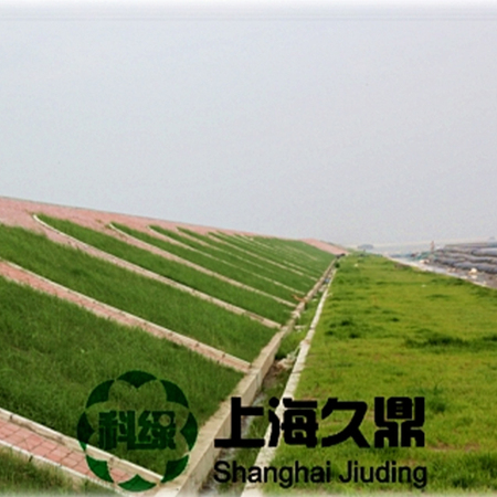 上海崇明横沙岛海堤背坡护坡工程