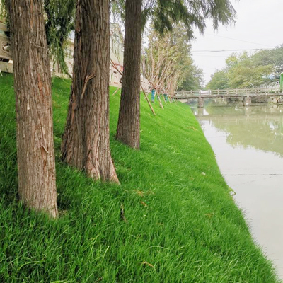 扬州城区宝带河硬质边坡改造