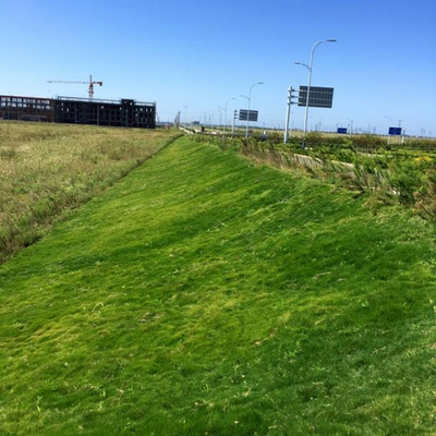 江苏南通吕四开发区石堤大道公路护坡