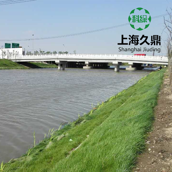 启东滨海园区江枫河绿化混凝土护坡工程.png